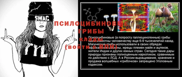 мяу мяу мука Абинск