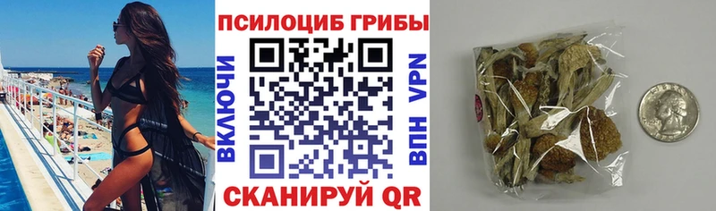 Галлюциногенные грибы Cubensis  Абаза 